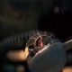 from_zero_to_hero1_(131).jpeg