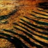 Filename=music_is_the_key205.jpeg
Filesize=66KiB
Dimensions=320x240
Date added=Apr 09, 2009 music_is_the_key205.jpeg