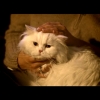 xmas_in_my_heart_(118).jpeg